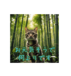 礼儀正しい猫のご挨拶（個別スタンプ：33）