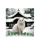 礼儀正しい猫のご挨拶（個別スタンプ：34）