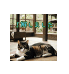 礼儀正しい猫のご挨拶（個別スタンプ：35）