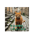 礼儀正しい猫のご挨拶（個別スタンプ：38）