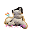 しらたまくん(ハムスター)のスタンプ（個別スタンプ：6）