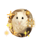しらたまくん(ハムスター)のスタンプ（個別スタンプ：21）