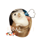 しらたまくん(ハムスター)のスタンプ（個別スタンプ：24）