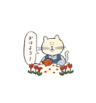 ネコさんの日常。（個別スタンプ：1）