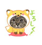 クーちゃん（アニマル）（個別スタンプ：1）