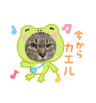 クーちゃん（アニマル）（個別スタンプ：3）