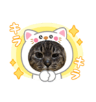 クーちゃん（アニマル）（個別スタンプ：5）
