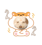 おマルマルスタンプー（個別スタンプ：2）
