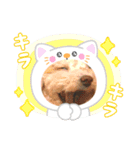 おマルマルスタンプー（個別スタンプ：3）