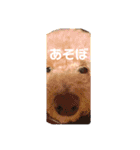 おマルマルスタンプー（個別スタンプ：5）