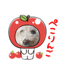 おマルマルスタンプー（個別スタンプ：14）