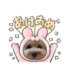 おマルマルスタンプー（個別スタンプ：15）