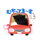 ネコハヨウスタンプ（個別スタンプ：3）