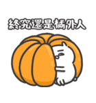自慢のウサギ Solo Show 16（個別スタンプ：24）