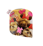 threeAngel（個別スタンプ：6）
