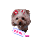 threeAngel（個別スタンプ：8）