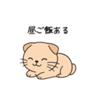 【育児連絡】スコティッシュフォールド（個別スタンプ：9）