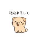 【育児連絡】スコティッシュフォールド（個別スタンプ：12）