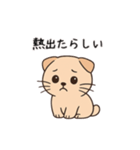 【育児連絡】スコティッシュフォールド（個別スタンプ：13）