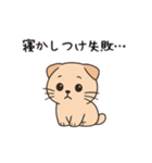 【育児連絡】スコティッシュフォールド（個別スタンプ：17）