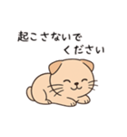 【育児連絡】スコティッシュフォールド（個別スタンプ：23）