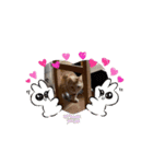 かわいい3ニャンズスタンプ（個別スタンプ：3）