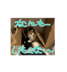 トムのスタンプ 2弾（個別スタンプ：8）