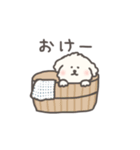 犬のもこまるのかわいいダジャレ◎小さめ（個別スタンプ：5）