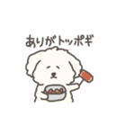 犬のもこまるのかわいいダジャレ◎小さめ（個別スタンプ：11）