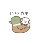 犬のもこまるのかわいいダジャレ◎小さめ（個別スタンプ：13）