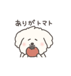 犬のもこまるのかわいいダジャレ◎小さめ（個別スタンプ：24）