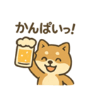 お酒好きシバイヌちゃん（個別スタンプ：1）