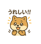 お酒好きシバイヌちゃん（個別スタンプ：9）