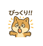 お酒好きシバイヌちゃん（個別スタンプ：10）