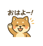 お酒好きシバイヌちゃん（個別スタンプ：24）