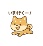 お酒好きシバイヌちゃん（個別スタンプ：31）
