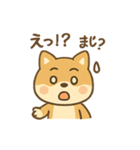 お酒好きシバイヌちゃん（個別スタンプ：33）