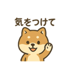 お酒好きシバイヌちゃん（個別スタンプ：35）