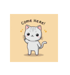 白銀猫の日常（個別スタンプ：22）