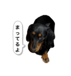 三度の飯よりこうめ（個別スタンプ：5）