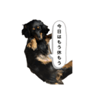 三度の飯よりこうめ（個別スタンプ：7）