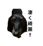 三度の飯よりこうめ（個別スタンプ：8）