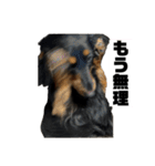 三度の飯よりこうめ（個別スタンプ：10）