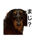三度の飯よりこうめ（個別スタンプ：13）