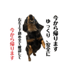 三度の飯よりこうめ（個別スタンプ：20）