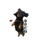 三度の飯よりこうめ（個別スタンプ：24）