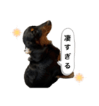 三度の飯よりこうめ（個別スタンプ：27）
