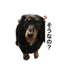 三度の飯よりこうめ（個別スタンプ：32）