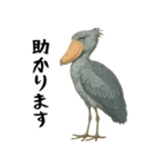 微動だにしないハシビロコウ（個別スタンプ：6）