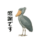 微動だにしないハシビロコウ（個別スタンプ：7）